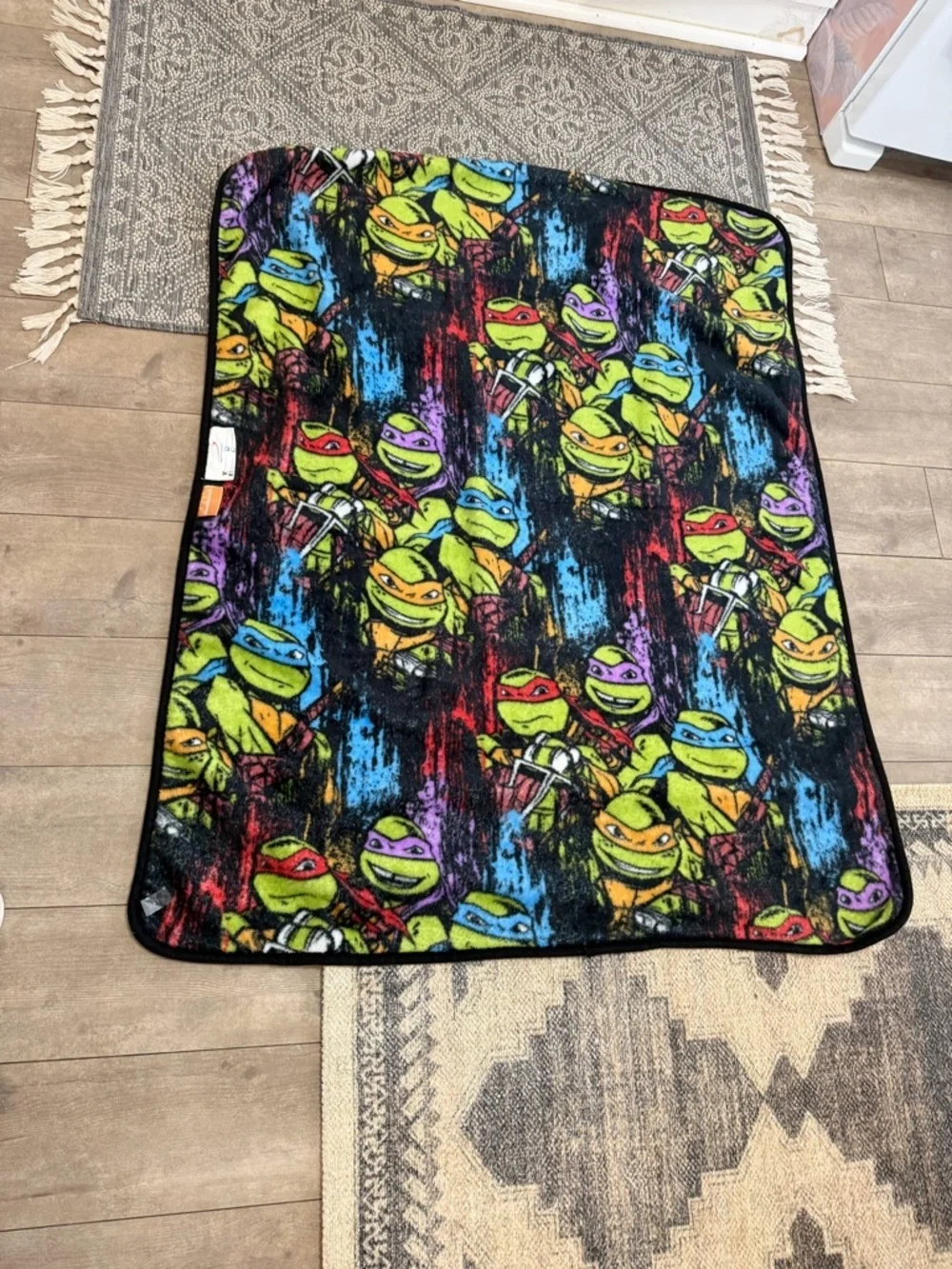 Nickelodeon teenage mutant